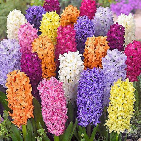 آخرین لیست قیمت خرید گل مصنوعی دکوری چند طبقه ارزان